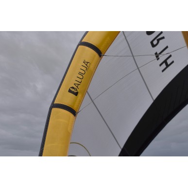  North Orbit Ultra Kite Taille:5.9m Color description:Grey